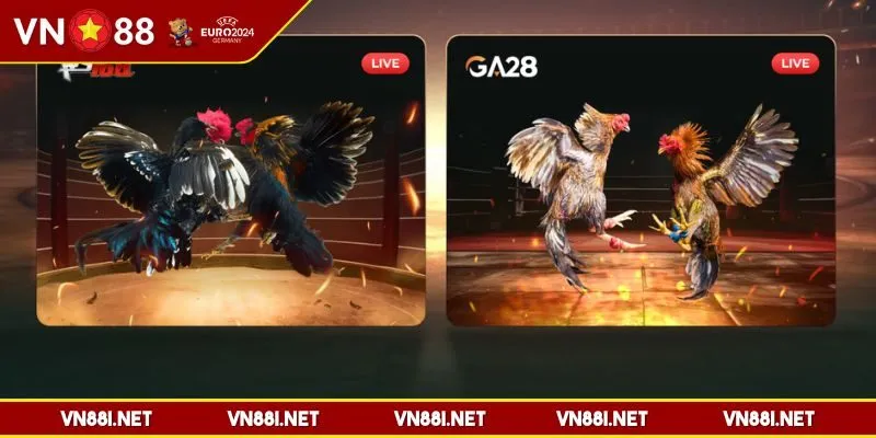 da-ga-vn88-kham-pha